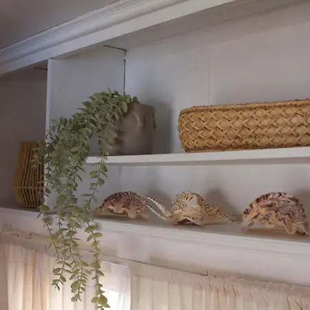 Przyczepa Surfzen Кемпинг